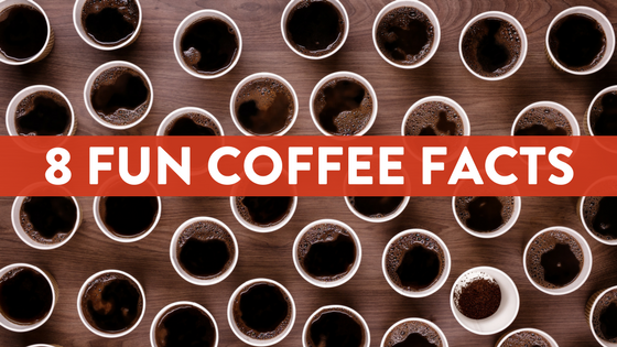 8 Fun Coffee Facts