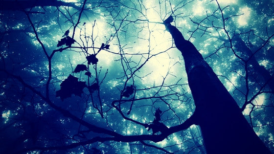 Embracing the Nightmare