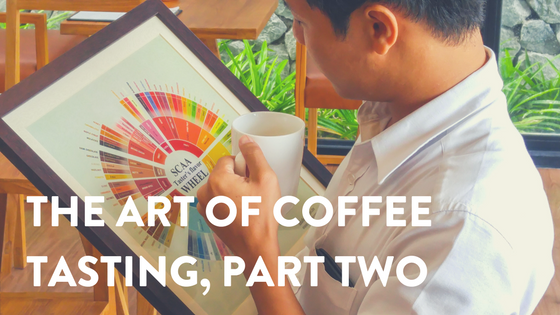 The Art of Coffee Tasting, Part Two