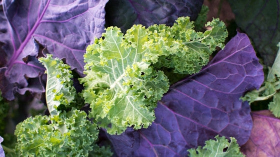 How Not To Bail On Kale